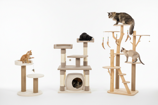 Guide d’achat d’un arbre à chat : quelle taille, quelle hauteur et quel matériau choisir ?