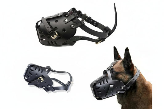 muzzle en cuir pour chien
