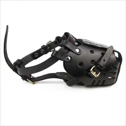 muzzle en cuir pour chien