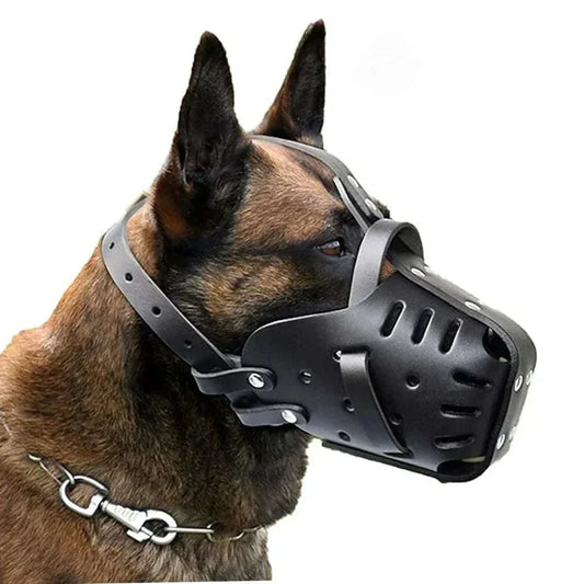 muzzle en cuir pour chien