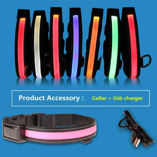 Collier lumineux LED