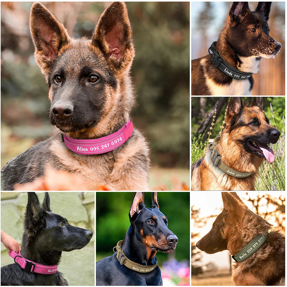 Hdc56601c107b40d08e89c1998ee94d04L