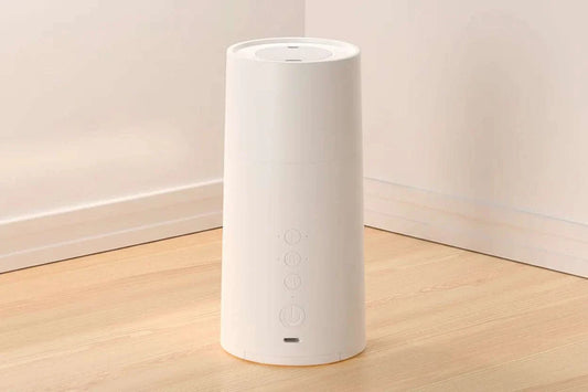 jouet automatique chat