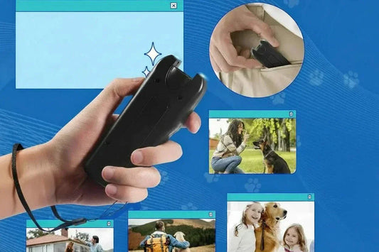 Répulsif ultrasonic pour chien