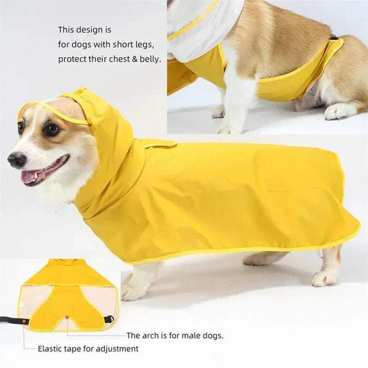 Imperméable pour chien