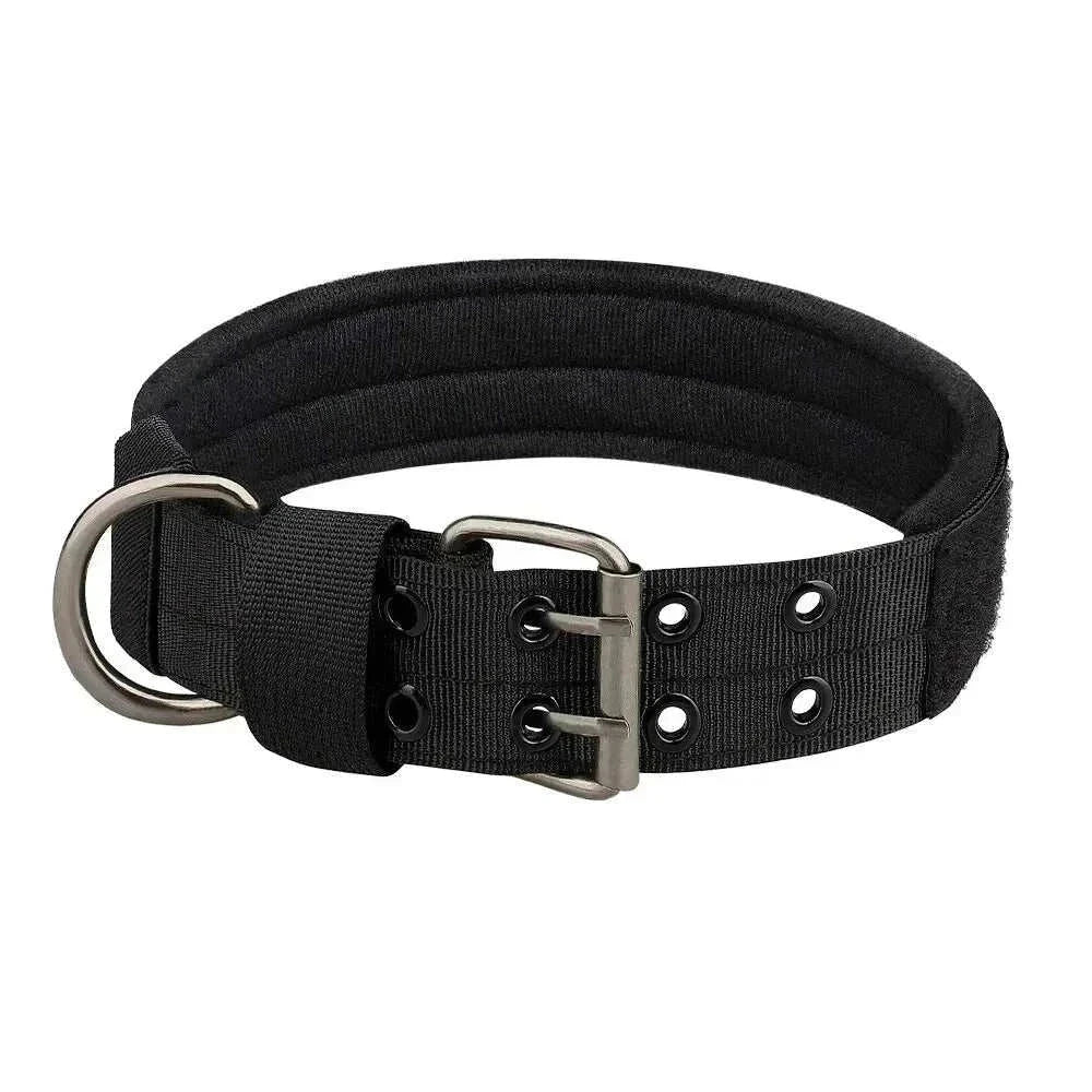 Collier chien tactique