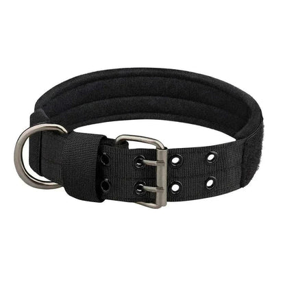 Collier chien tactique