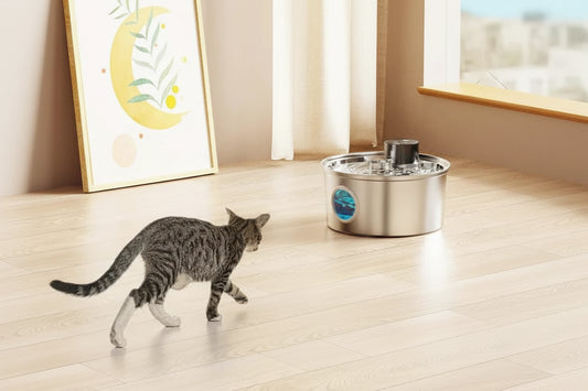 Fontaine à eau pour animal