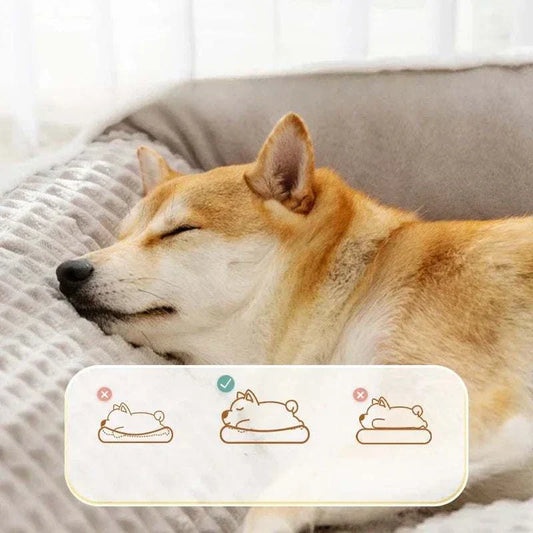 Maison pour chien et chat