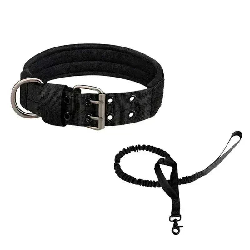 Collier chien tactique