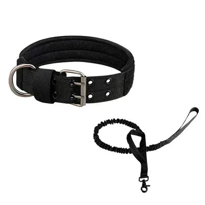 Collier chien tactique