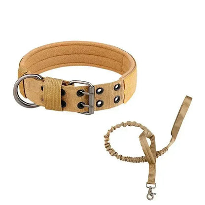 Collier chien tactique