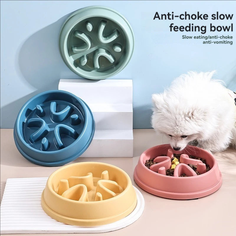 S473c5e5955144c4d8bdc0ec5968a0acei