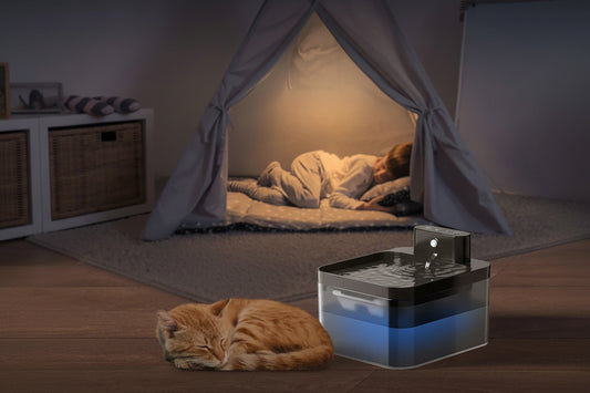 Fontaine d'eau pour chat