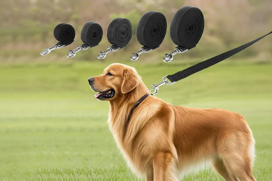 Long Strong Nylon Leash