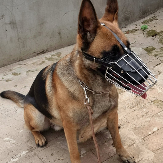 muselière chien ajustable