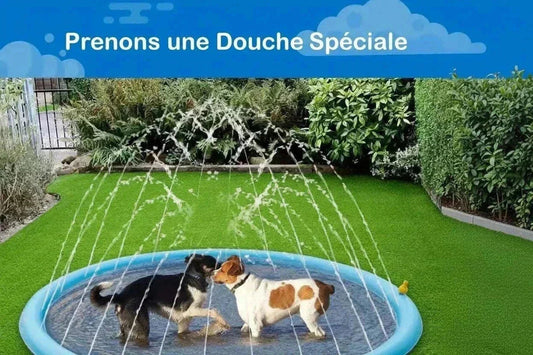 Jeu d’eau extérieur