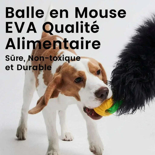 Jouet corde pour chien