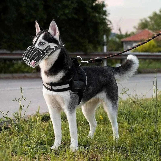 Protection Muzzle chien