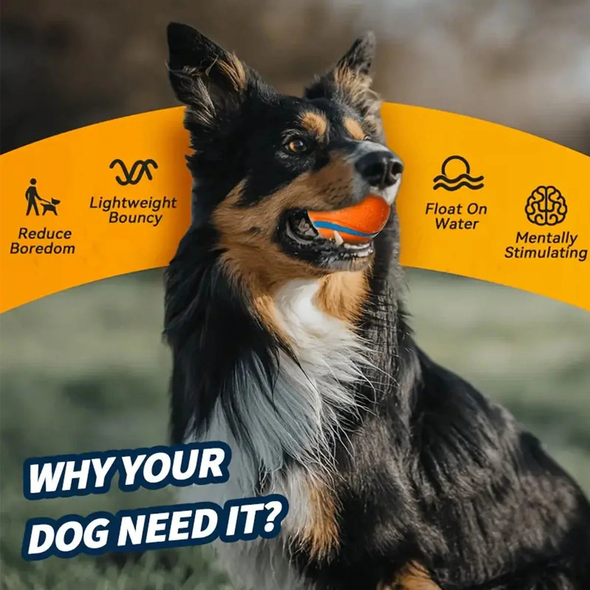 S61c6a9f56afe4ab09b453863be305670p