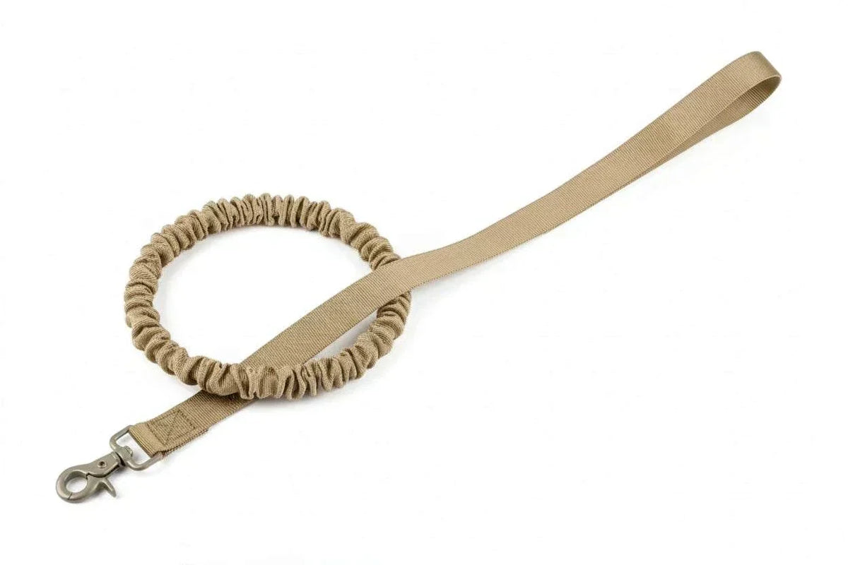 Collier chien tactique