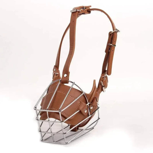 Protection Muzzle chien