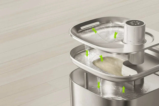 Fontaine à eau pour chat