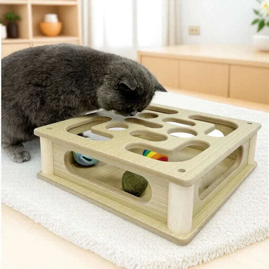 jeu pour chat