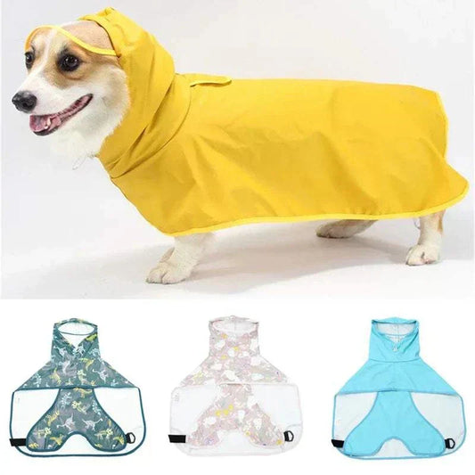 Imperméable pour chien