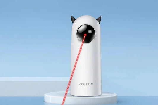 jouet automatique chat