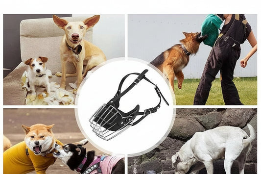 Protection Muzzle chien