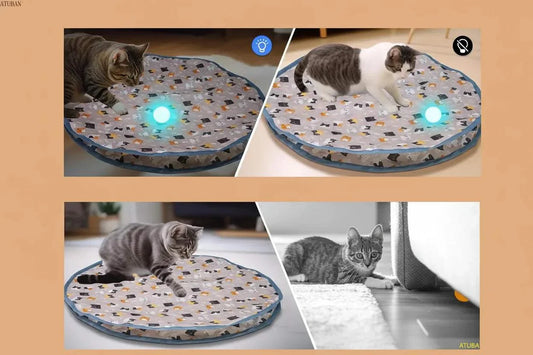 jouet chat électrique