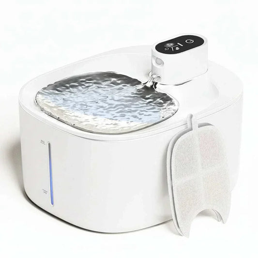 Fontaine à eau pour chat