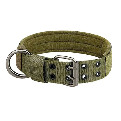 Collier chien tactique