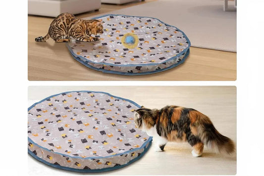 jouet chat électrique