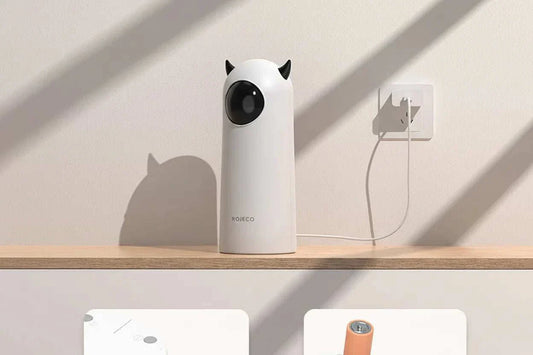 jouet automatique chat