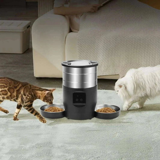 Distributeur automatique pour chats