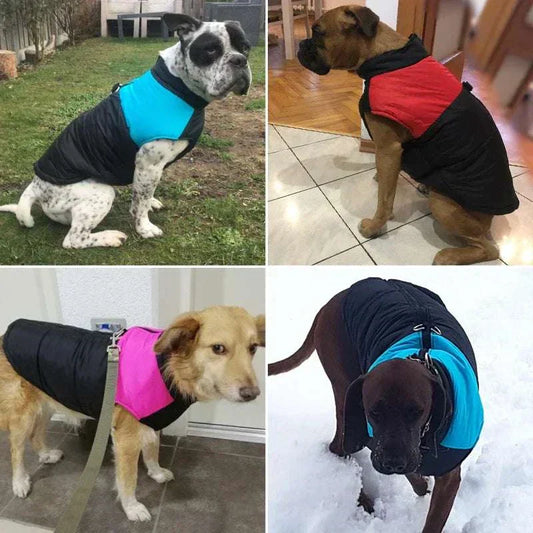 dog coat jacket waterproof