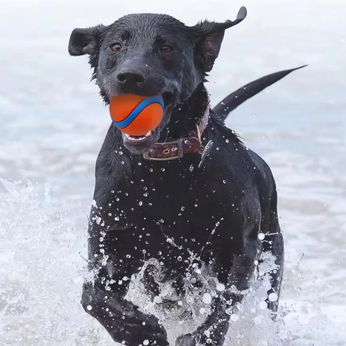 Saa02a400c1c8453bbcb7c5af0b14edc70