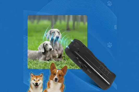 Répulsif ultrasonic pour chien