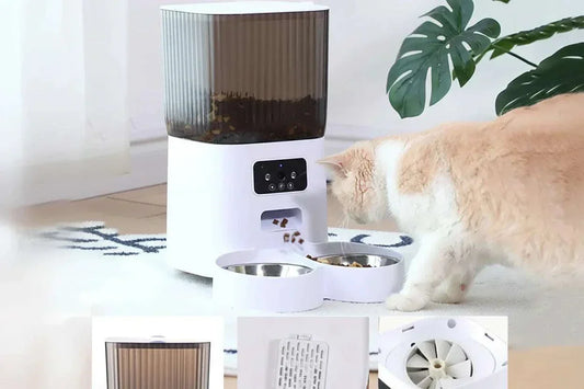 Distributeur de nourriture pour animaux