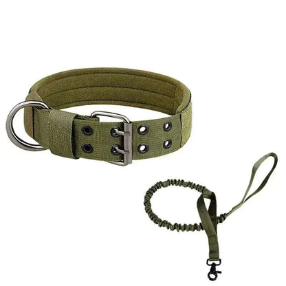 Collier chien tactique
