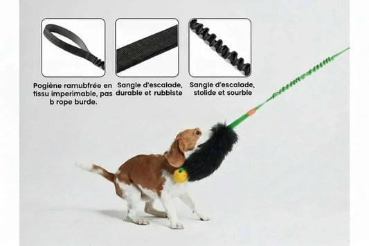 Jouet corde pour chien