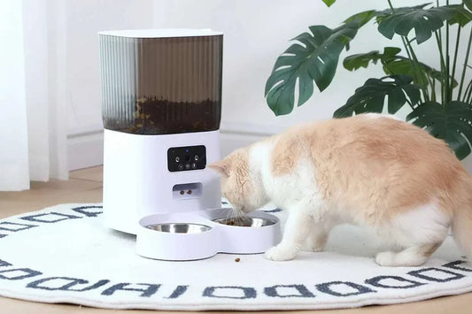 Distributeur de nourriture pour animaux