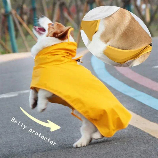 Imperméable pour chien