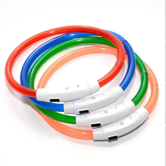 Collier lumineux pour chien