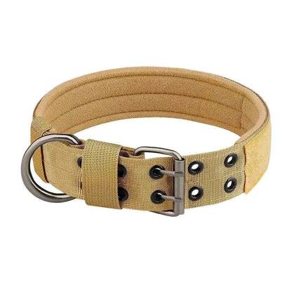 Collier chien tactique