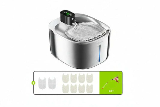 Fontaine à eau pour chat