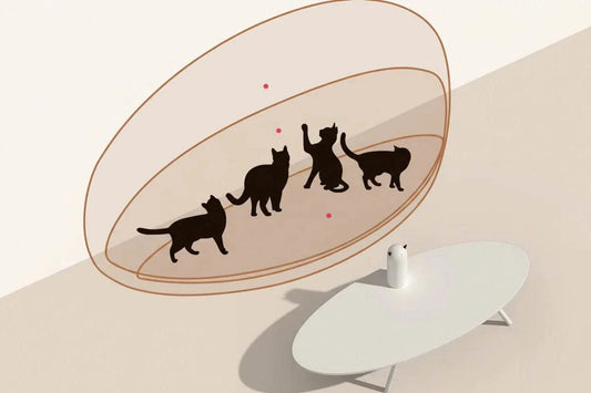 jouet automatique chat