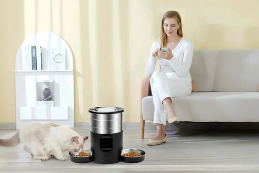 Distributeur automatique pour chats